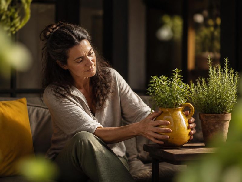 Smart Gardening and Home Improvement: A Practical Guide to Elevating Your Interior, Exterior, and Decor